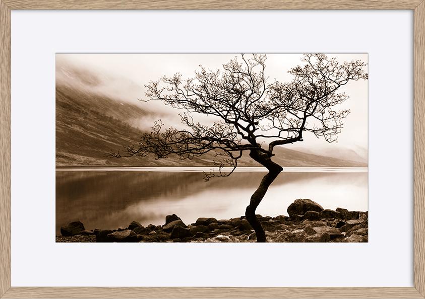 paper_frame