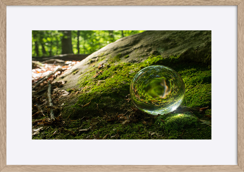 paper_frame