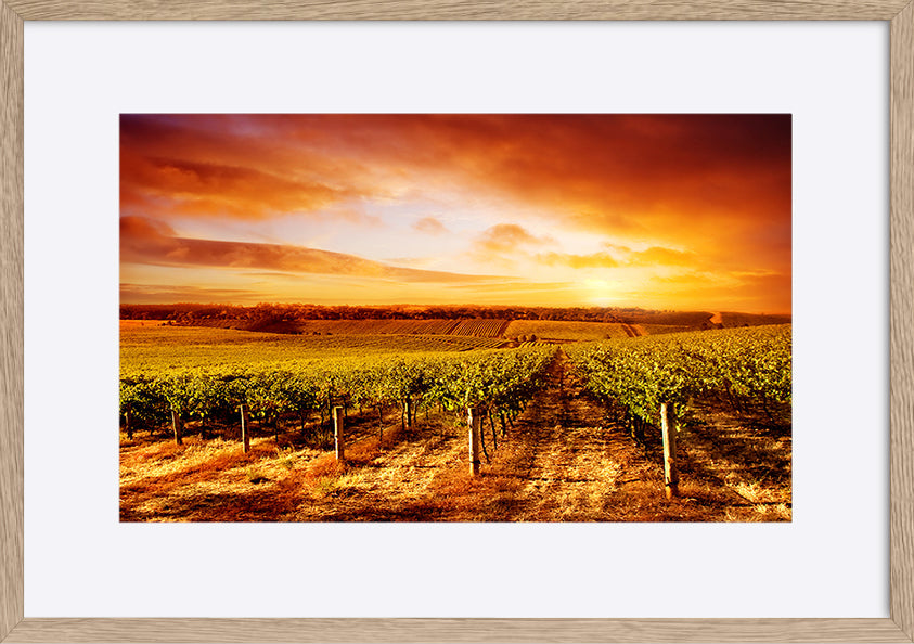 paper_frame