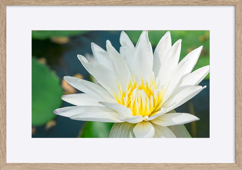 paper_frame