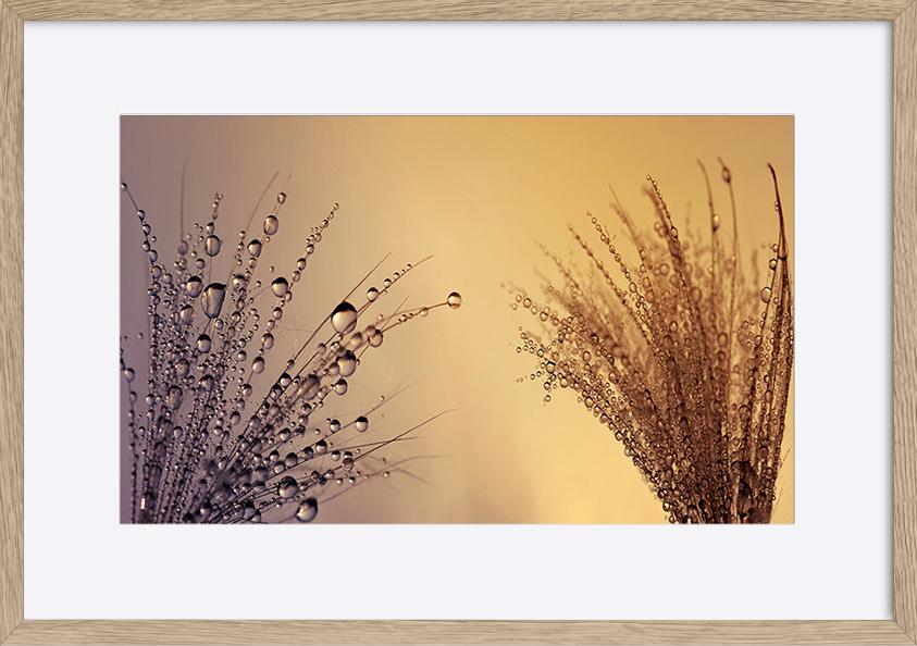 paper_frame