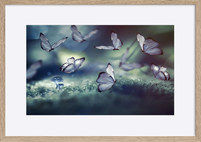 paper_frame
