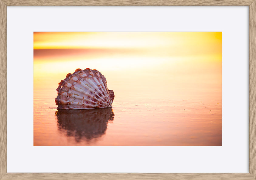 paper_frame