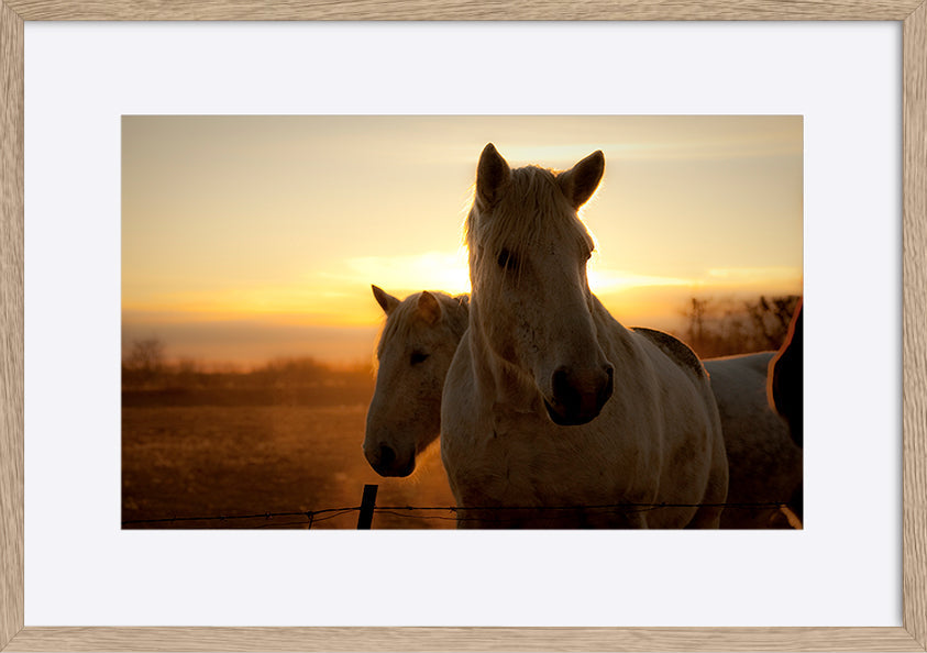paper_frame