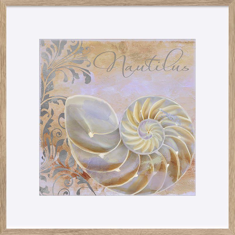 paper_frame