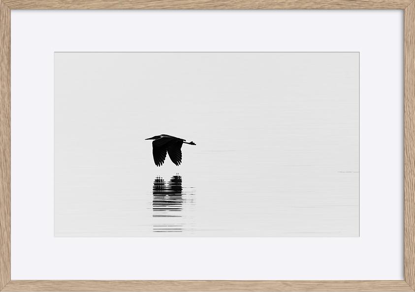 paper_frame