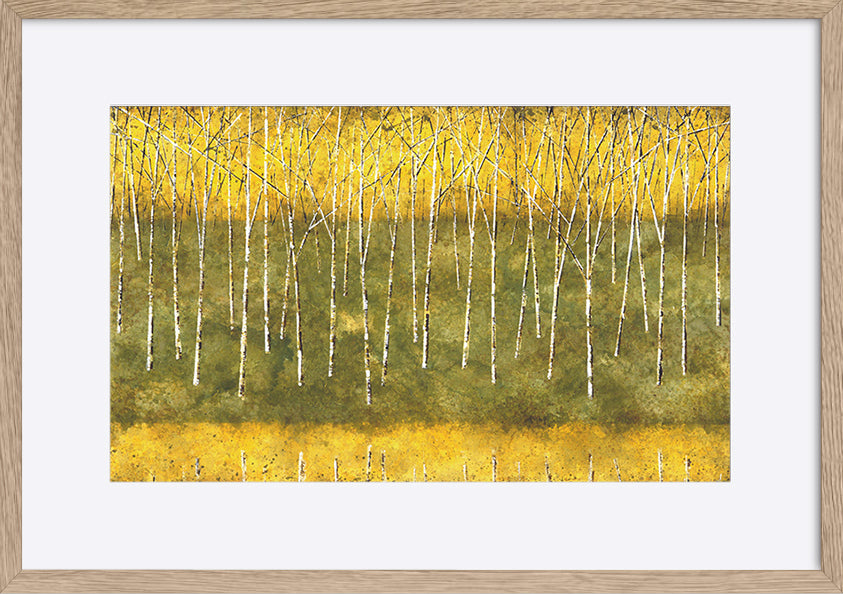 paper_frame