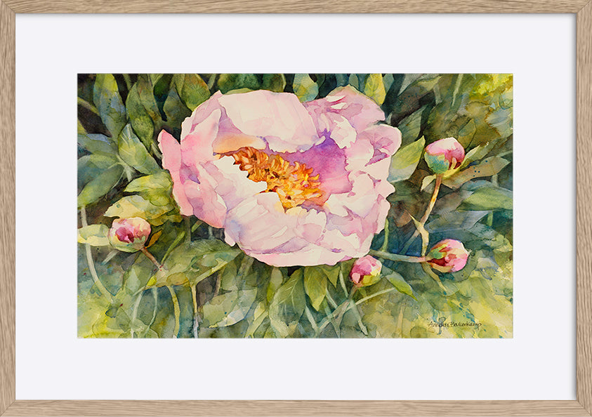 paper_frame