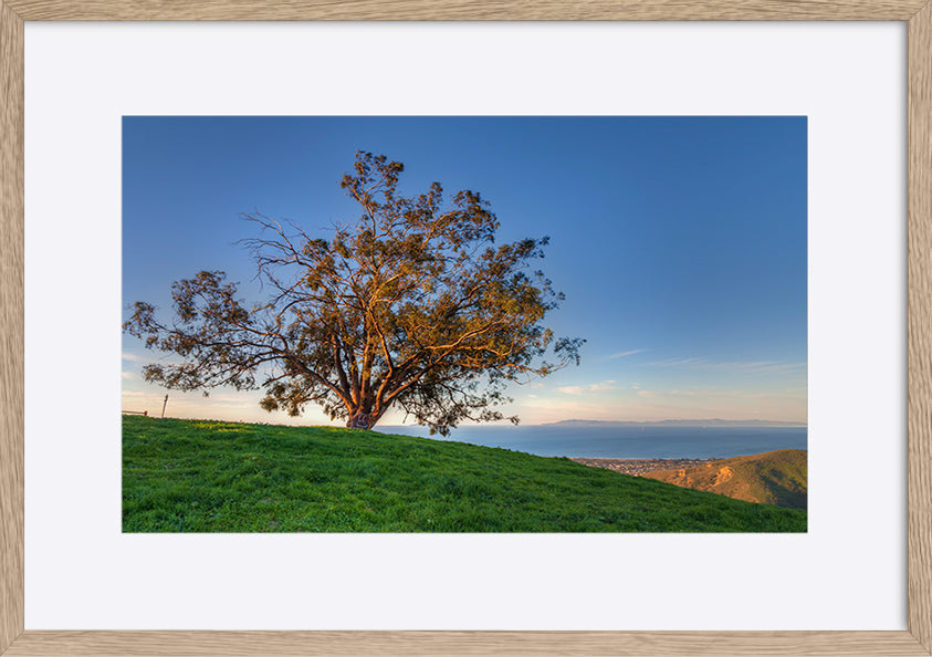paper_frame