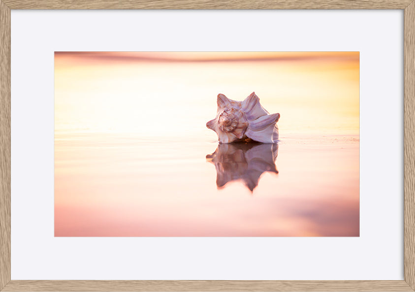 paper_frame