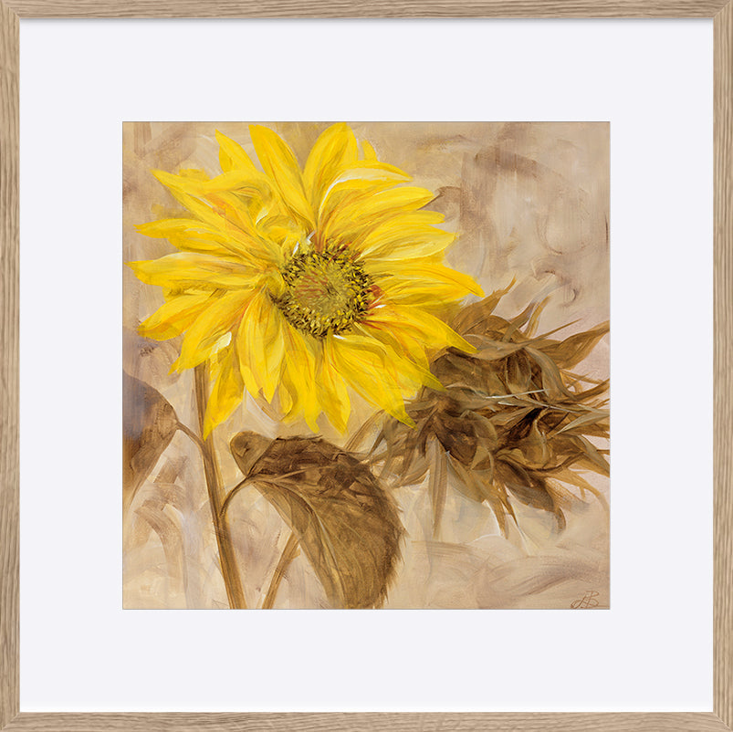 paper_frame