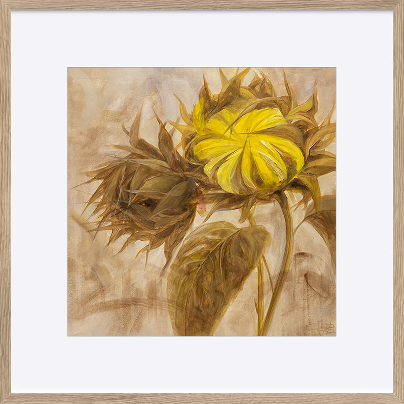 paper_frame