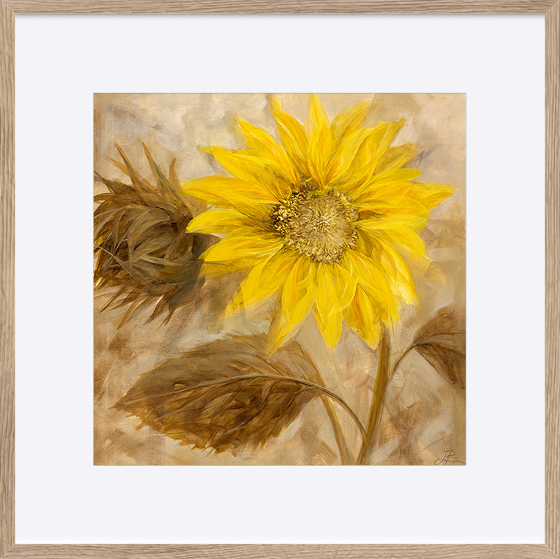 paper_frame