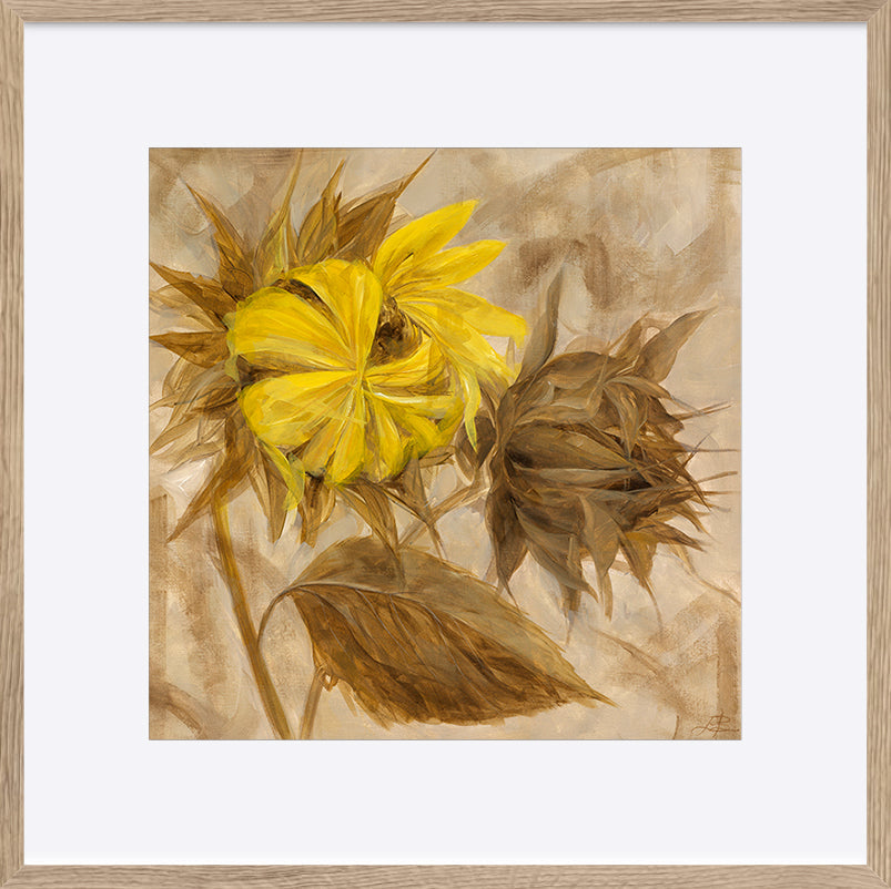 paper_frame