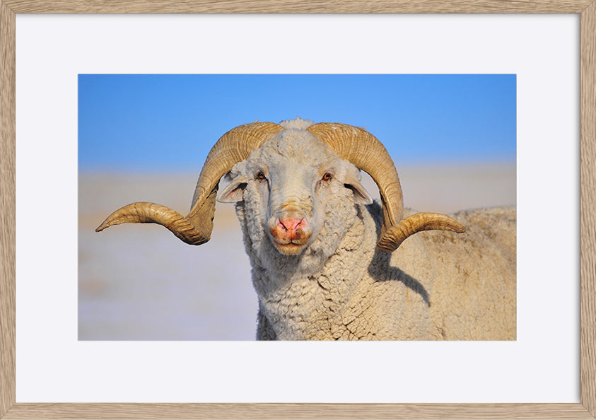 paper_frame