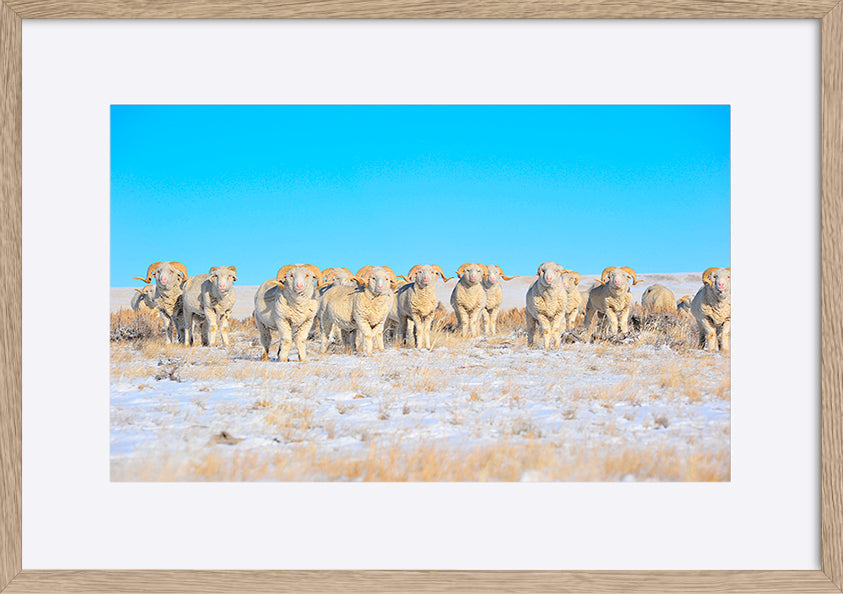 paper_frame