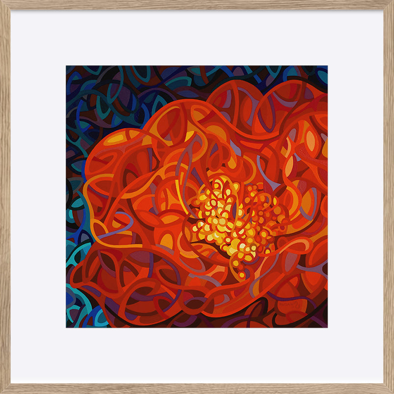 paper_frame