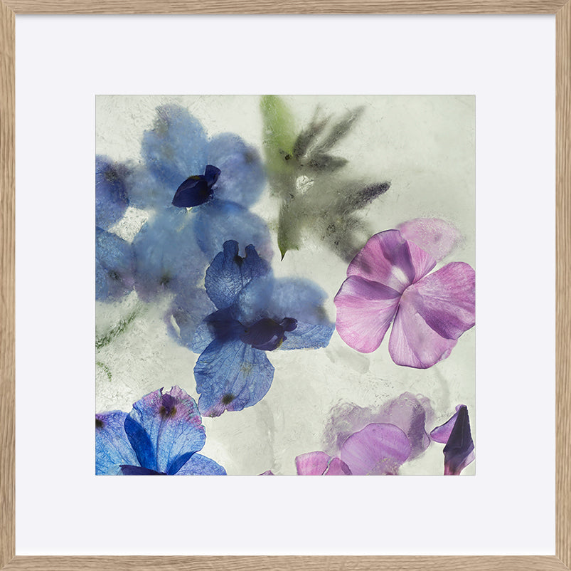paper_frame