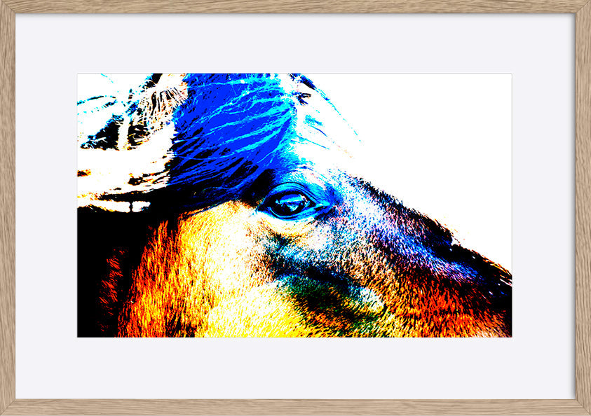paper_frame