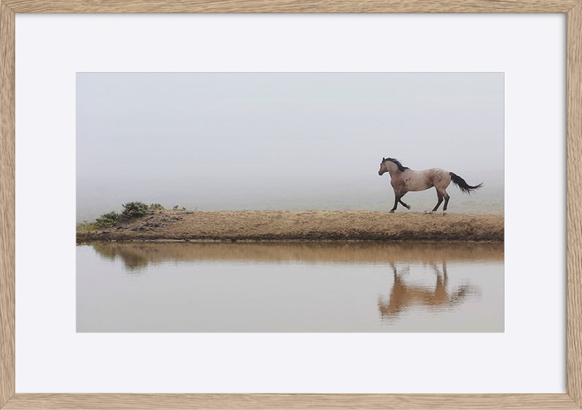 paper_frame