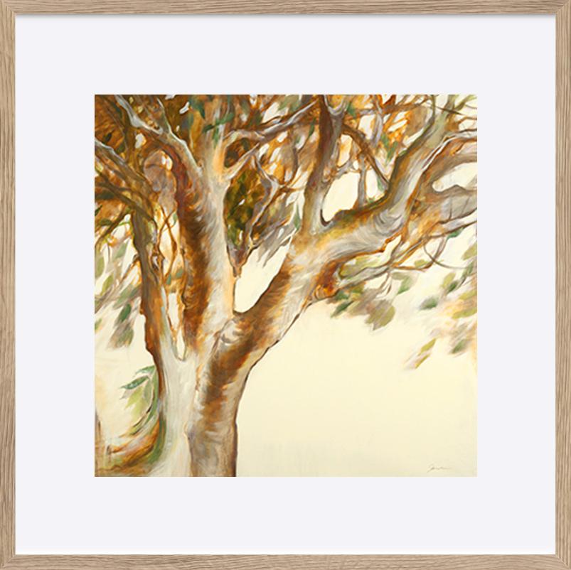 paper_frame