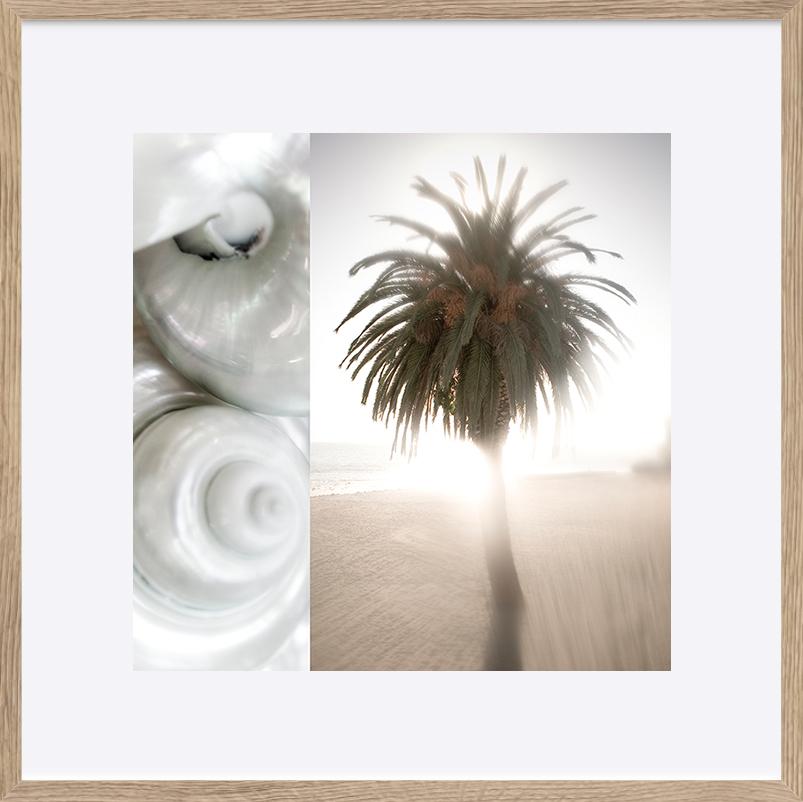 paper_frame