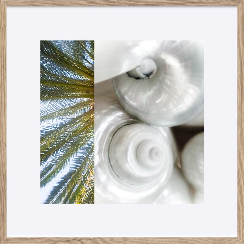 paper_frame