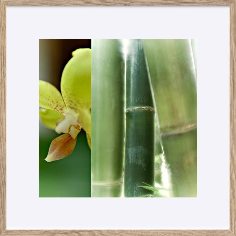paper_frame