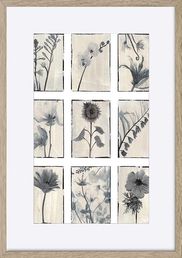 paper_frame
