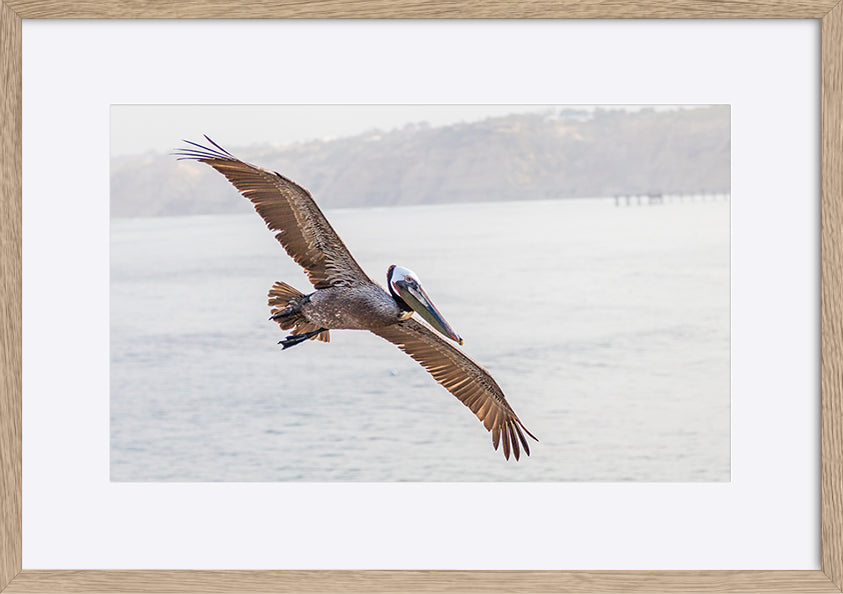 paper_frame