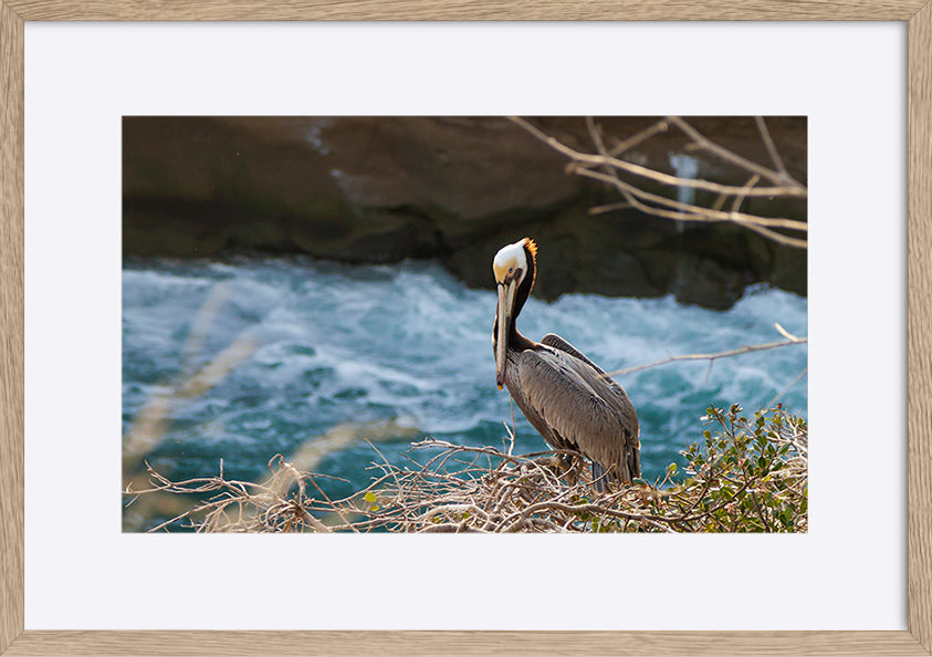 paper_frame