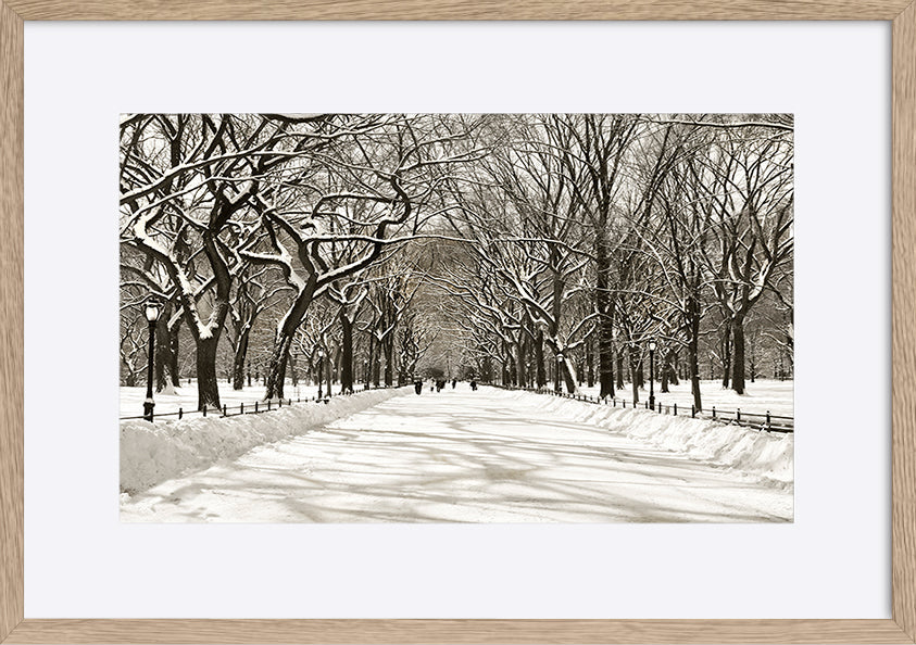 paper_frame