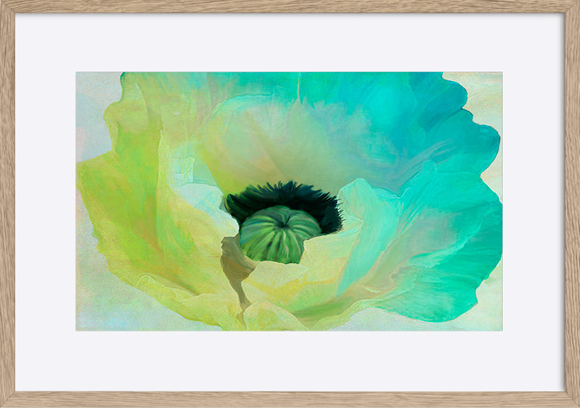 paper_frame