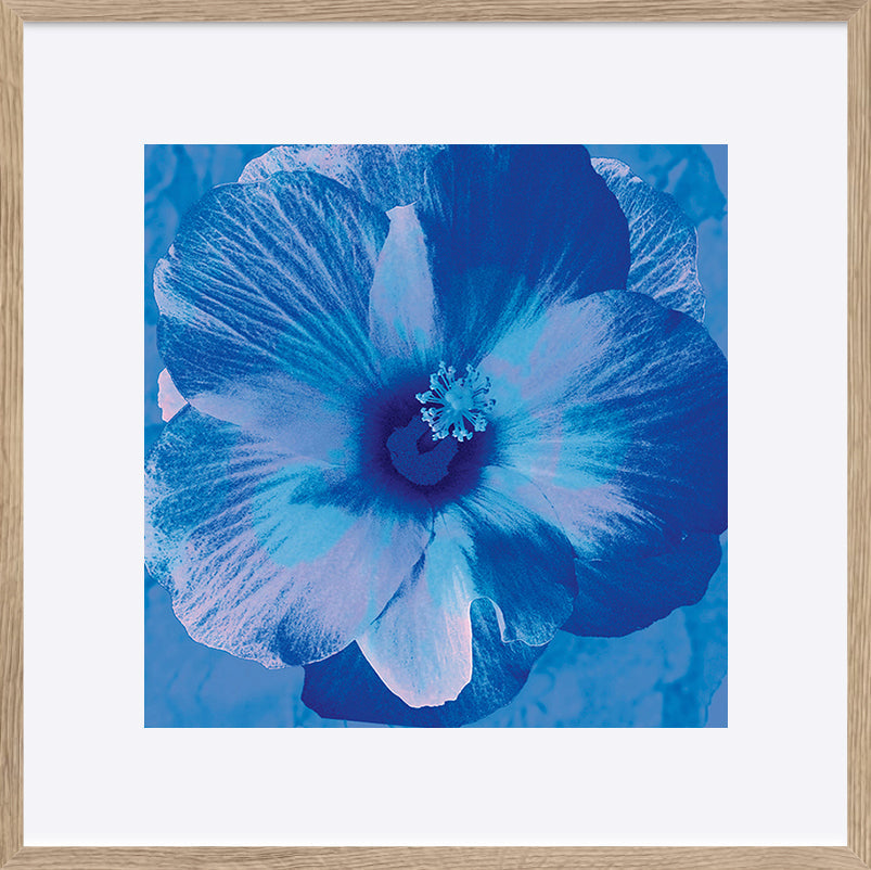 paper_frame
