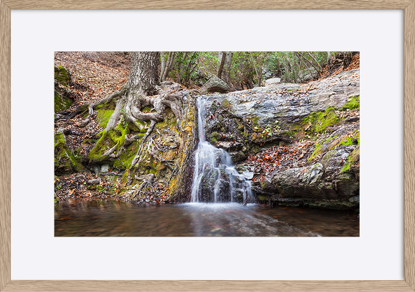 paper_frame