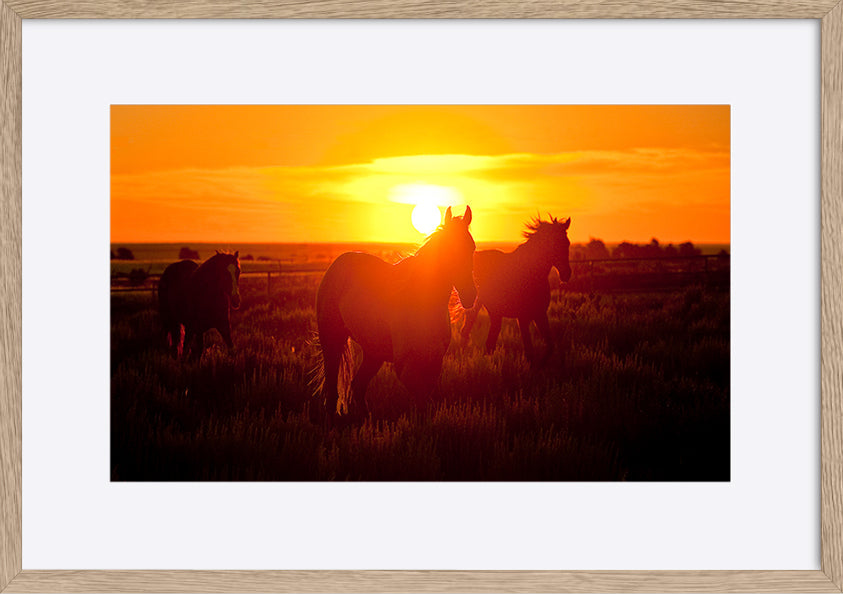 paper_frame