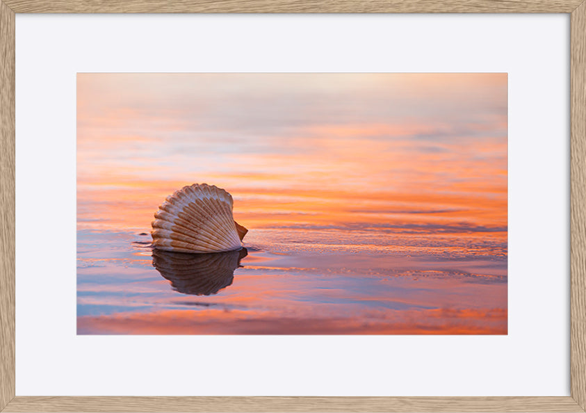 paper_frame