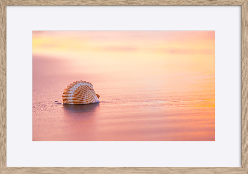 paper_frame