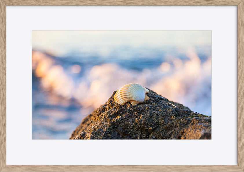 paper_frame