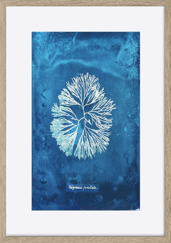 paper_frame