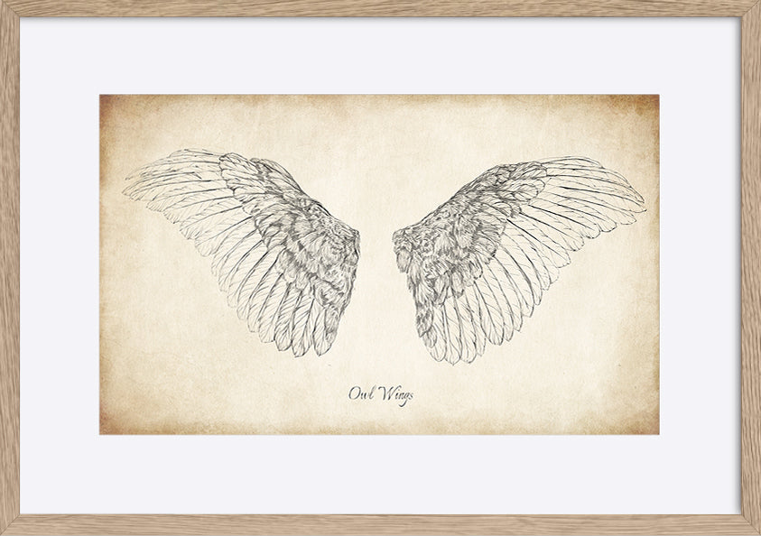 paper_frame