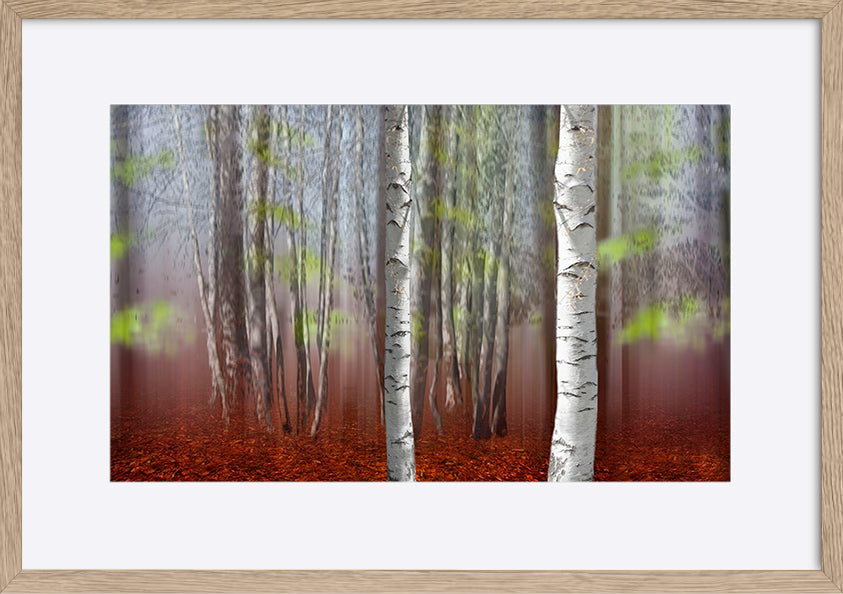 paper_frame