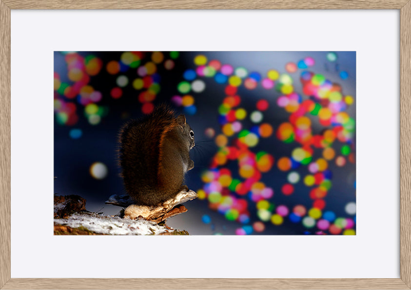 paper_frame