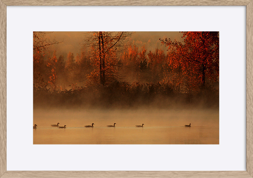 paper_frame