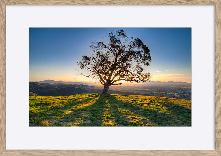 paper_frame