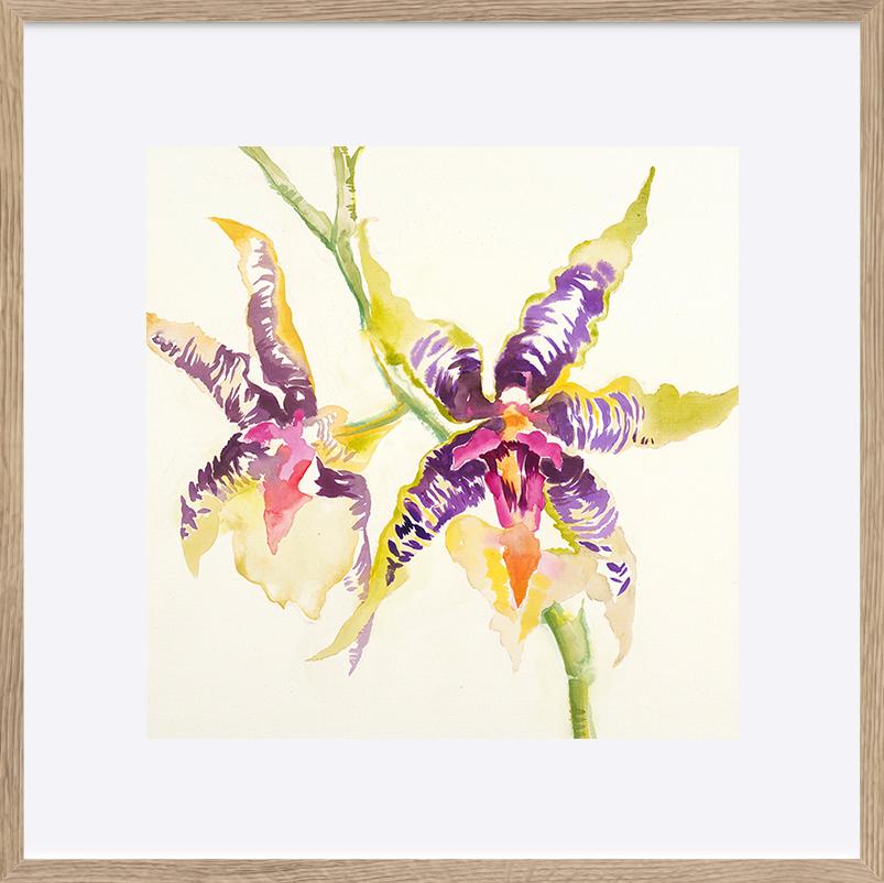 paper_frame