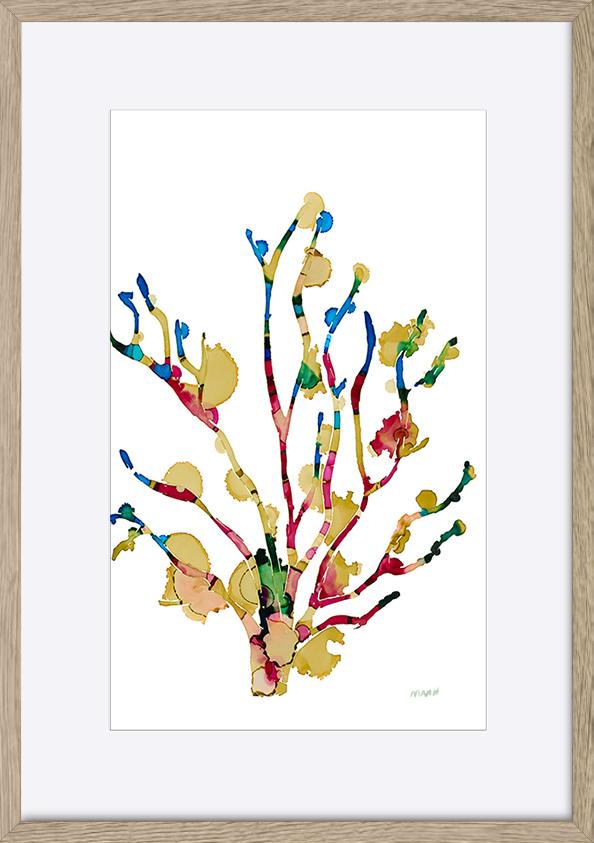 paper_frame