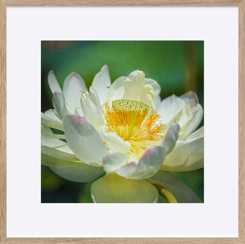 paper_frame
