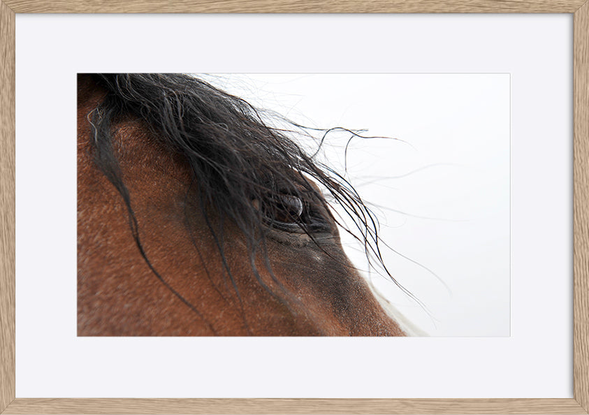 paper_frame