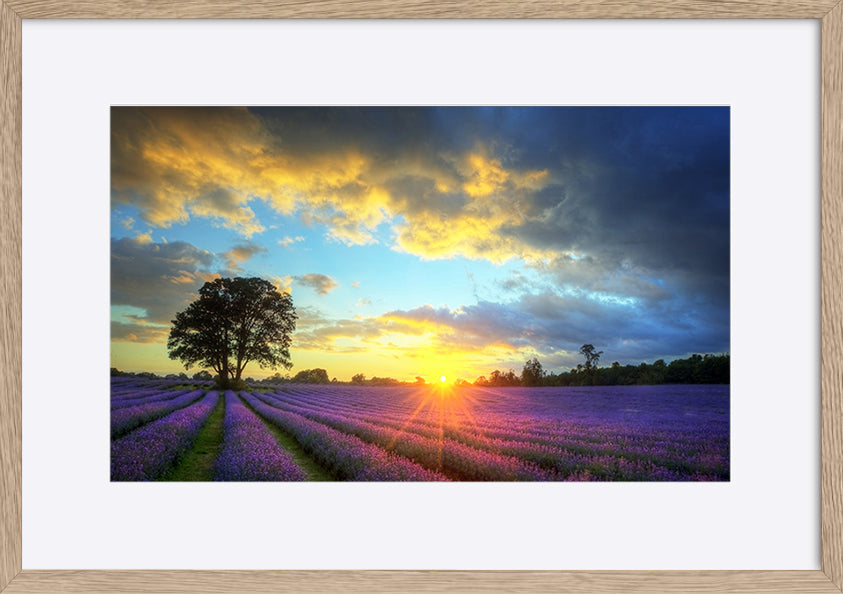 paper_frame
